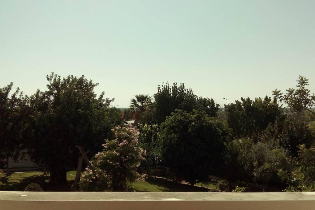 Tavira Travel Lovers Appartement Buitenkant foto